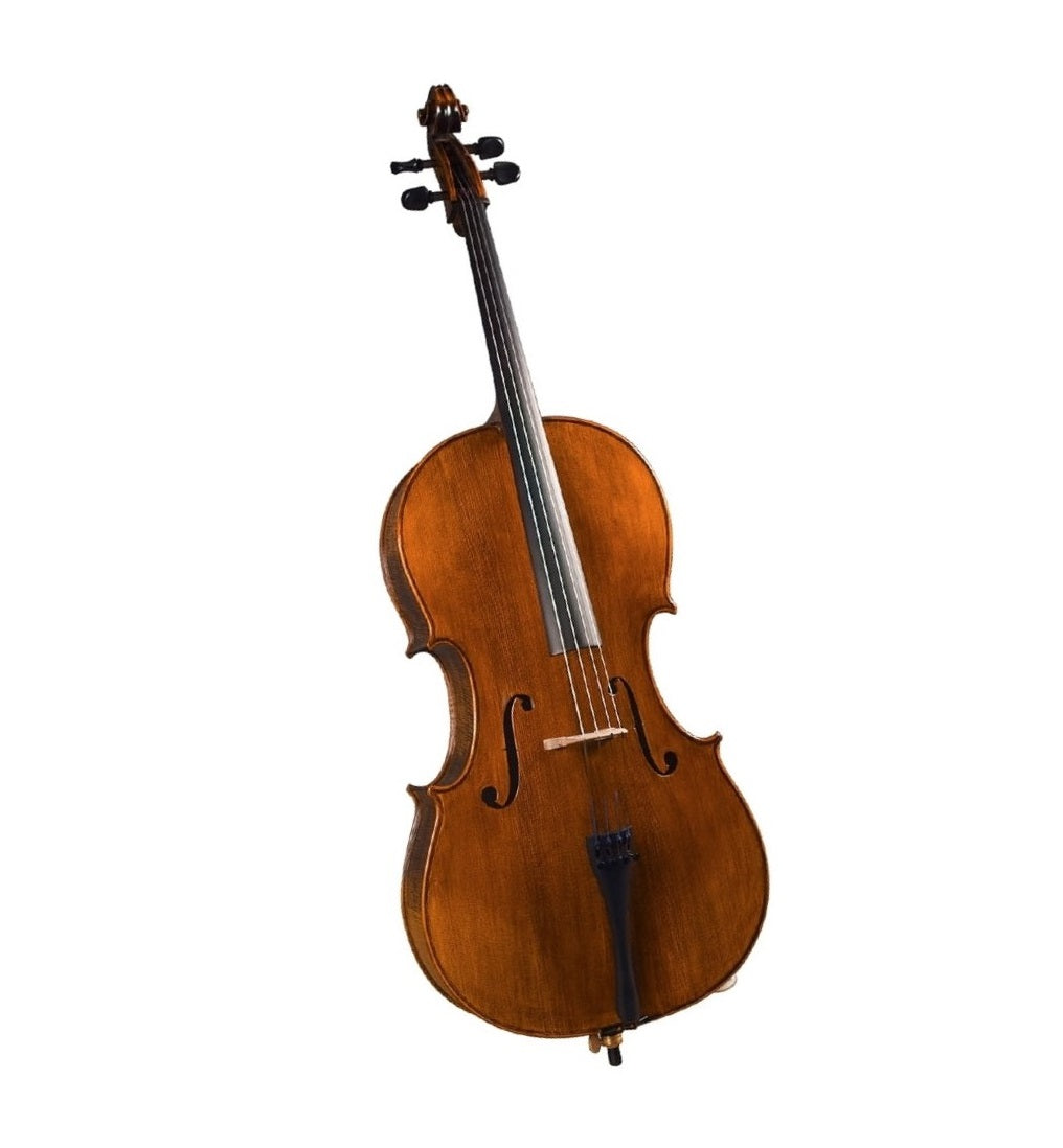 Violoncelo SC-500