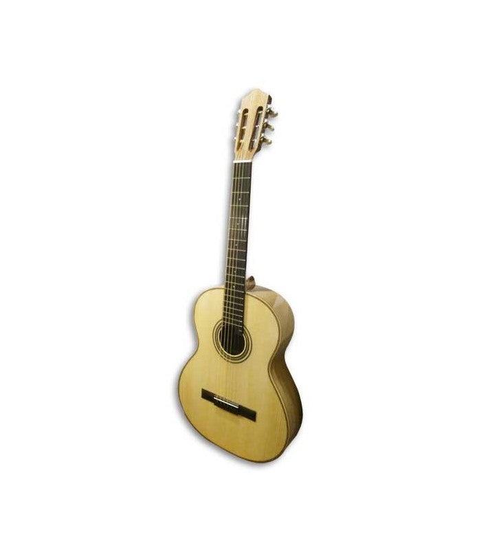 Viola Tradicional Portuguesa Simples ARTIMÚSICA 30350