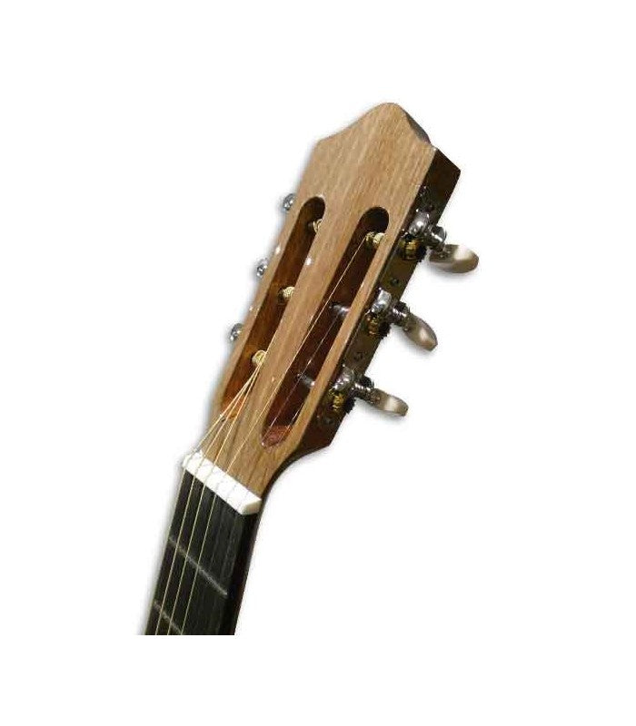 Viola Tradicional Portuguesa Simples ARTIMÚSICA 30350