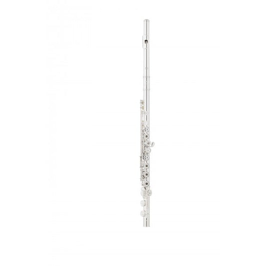 Flauta WISEMANN DFL-480